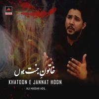 Khatoon E Jannat Hoon Ali Hassan Adil Song Download Mp3