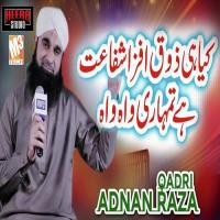 Kiya Hi Zauq Adnan Raza Qadri Song Download Mp3