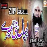 Lajpal Nabi Mere Adnan Raza Qadri Song Download Mp3