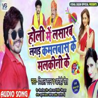 Holi Me Lasarab Langad Kamalwash Ke Malkini Ke Vishal Gagan Song Download Mp3