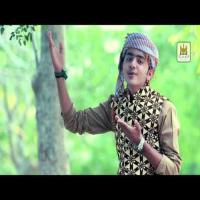 Hamd Allahu Allahu Tauseef Raza Kaim Khani Song Download Mp3