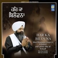 Kahe Mann Tu Dolta Bhai Bhupinder Singh Ji Sohalpuri Song Download Mp3