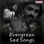 Matarani (From "Maharshi") S. P. Balasubrahmanyam,S. Janaki Song Download Mp3