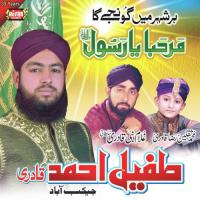 Munhanjo Jaam Muhammad Tufail Ahmed Qadri Song Download Mp3