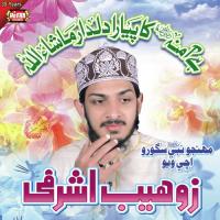 Munhanjo Nabi Sagoro Zohaib Ashrafi Song Download Mp3