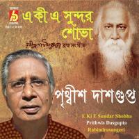 Tomarei Koriyachi Prithwis Dasgupta Song Download Mp3