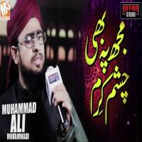 Mujhpe Bhi Chashm E Karam Muhammad Ali Muhammadi Song Download Mp3