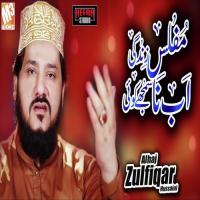 Muflis Zindagi Alhaj Zulfiqar Hussaini Song Download Mp3