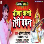 Vina Vaali Teri Vandana Aanad Anjana Song Download Mp3