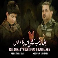 Boli Zainab S.a Mujhe Paas Bulalo Amma Muzaffar Tabatabai,Abbas Tabatabai Song Download Mp3