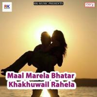 Tora Jaisan Chhaudi Ke Roj Leveni Birju Kumar Song Download Mp3