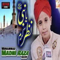 Ya Nabi Nazar E Qaram Farmana Muhammad Madni Raza Qadri Song Download Mp3