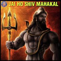 Om Namah Shivaya Vighnesh Ghanapaathi,Gurumurthi Bhat,Shridhara Bhat (Vedadhara) Song Download Mp3