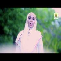 Roohi Fidaka Salle Alaa Alisha Mohsin Song Download Mp3