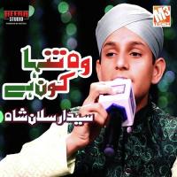 Wo Tanha Kaun Hai Syed Arsalan Shah Song Download Mp3