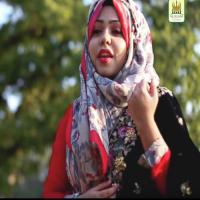 Hasbi Rabbi Jallallah Aiman Saeed Song Download Mp3