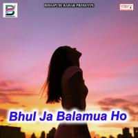 Bhatar Hamar Mauge Nu Bate Anirudh Raj Patel Song Download Mp3