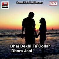 Bhola Ji Bujhi Pareshani Tanu Madheshiya Song Download Mp3