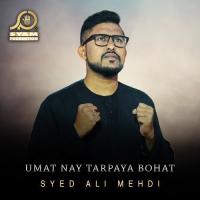 Umat Nay Tarpaya Bohat Syed Ali Mehdi Song Download Mp3