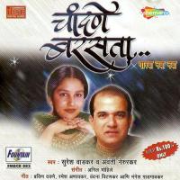 Ashadhachya Sadhan Avanti Nerurkar Song Download Mp3