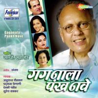 Tuze Dole Maze Suresh Wadkar,Anuradha Paudwal Song Download Mp3