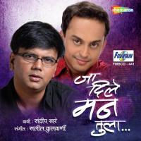 Man Shant Nijave Saleel Kulkarni Song Download Mp3