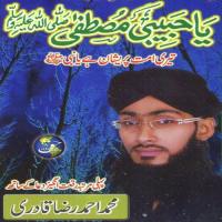 Teri Ummat Pareshan Hai Muhammad Ahmed Raza Qadri Song Download Mp3