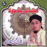 Syedi Ya Qari Mohsin Qadri Song Download Mp3