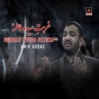 Urbat E Syeda Fatima S. A Amir Abbas Song Download Mp3