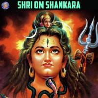 Om Namah Shivaya Vighnesh Ghanapaathi,Gurumurthi Bhat,Shridhara Bhat (Vedadhara) Song Download Mp3