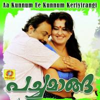 Aa Kunnum Ee Kunnum Keriyirangi Madhav Sanker Song Download Mp3