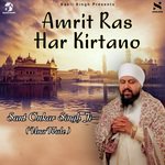 Man Tu JooT Saroop Hai Sant Onkar Singh Ji Song Download Mp3