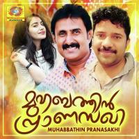 Neelavanile Firoz Nadapuram Song Download Mp3