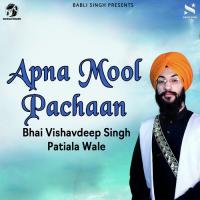 Apna Mool Pachaan Bhai Vishavdeep Singh Song Download Mp3