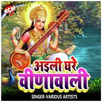 Kaile Raha Sarsawati Puja Shyam Tigar Song Download Mp3