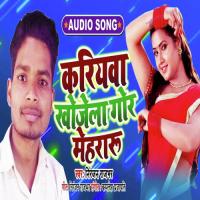 Kariyawa Khojela Gor Mehraru Niranjan Rajbhar Song Download Mp3