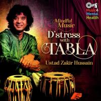 Taalmela Ustad Zakir Hussain Song Download Mp3