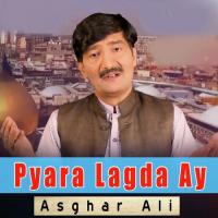 Pardees Asghar Ali Song Download Mp3