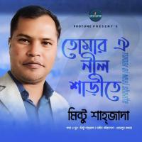 Tumar Oi Neel Sharite Mintu Shahjada Song Download Mp3