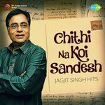 Tum Ko Dekha To Yeh Khayal Aaya (From "Saath Saath") Jagjit Singh,Chitra Singh Song Download Mp3