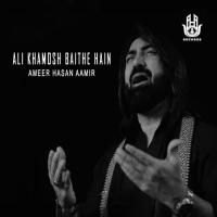 Ali Khamosh Baithe Hain Ameer Hasan Aamir Song Download Mp3