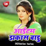 Dilli Gaile Hamro Sajnwa Punam Panday Song Download Mp3