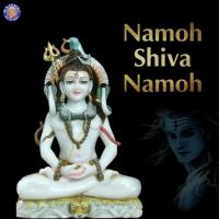 Shiv Tandav Stotra Rajessh Iyer Song Download Mp3