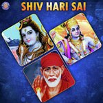 Om Jai Jagdish Hare Sanjeevani Bhelande Song Download Mp3