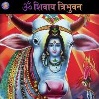 Om Jai Shiv Omkara Ketaki Bhave-Joshi Song Download Mp3