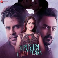 Tu Hai Teri Aashiqui Shehzad Ali,Aakanksha Sharma Song Download Mp3