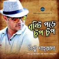 Bristy Pore Tuptup Mintu Shahjada Song Download Mp3