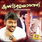 Punjiri Thookum Vidhu Prathap Song Download Mp3