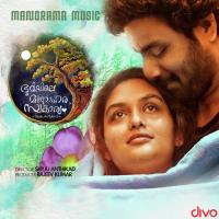 Enthinen Pranayame Mridula Warrier Song Download Mp3