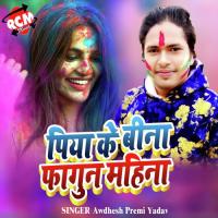 Piya Ke Bina Fagun Mahina Ravi Ajit Song Download Mp3